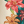 Savelo Lani Floral Button Up